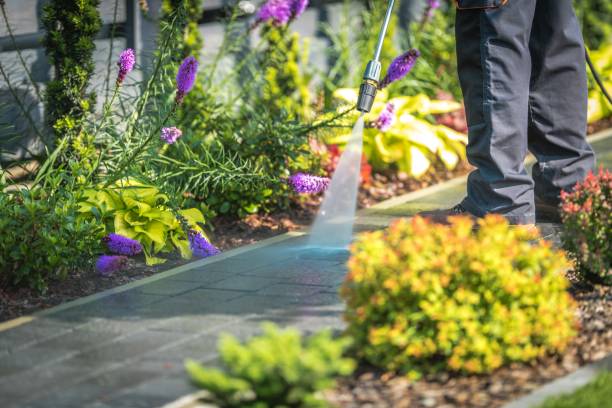 Best Gutter Cleaning  in Celina, TX