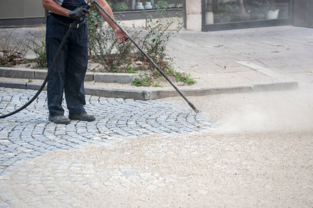 Best House Exterior Washing  in Celina, TX