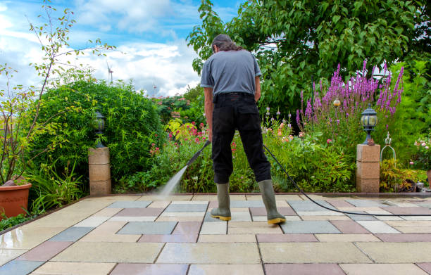 Best Restaurant Pressure Washing  in Celina, TX