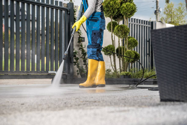 Best Building Exterior Washing  in Celina, TX
